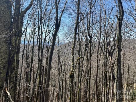 261 Grouse Thicket Lane Mars Hill NC 28754