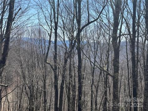 261 Grouse Thicket Lane Mars Hill NC 28754