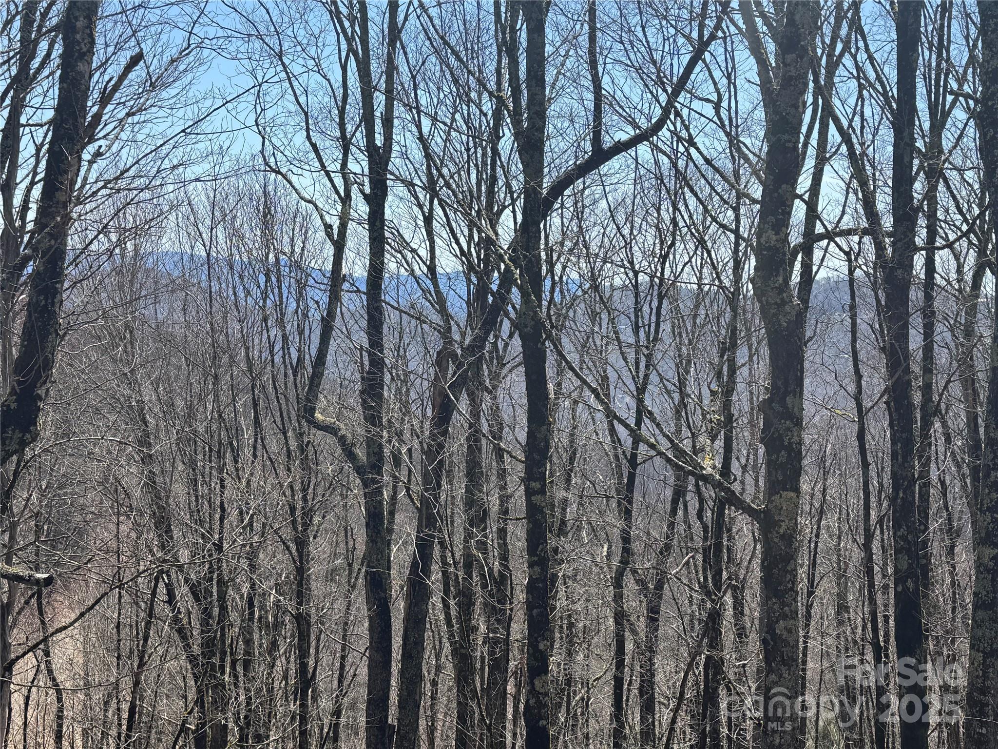261 Grouse Thicket Lane Mars Hill NC 28754