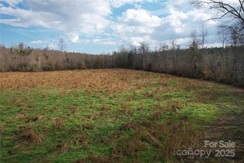 000 Old Shelby Road Vale NC 28168