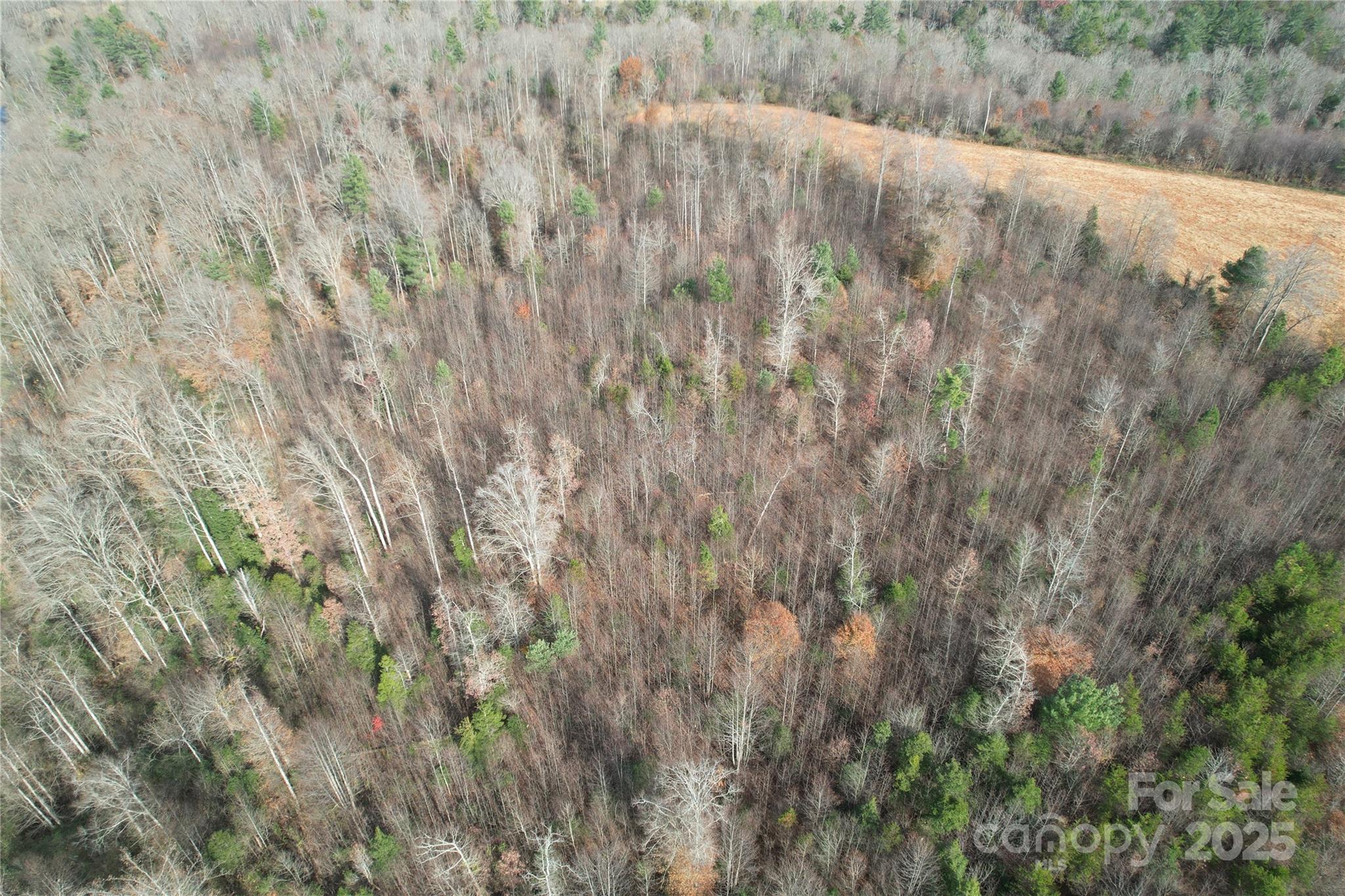 000 Old Shelby Road Vale NC 28168