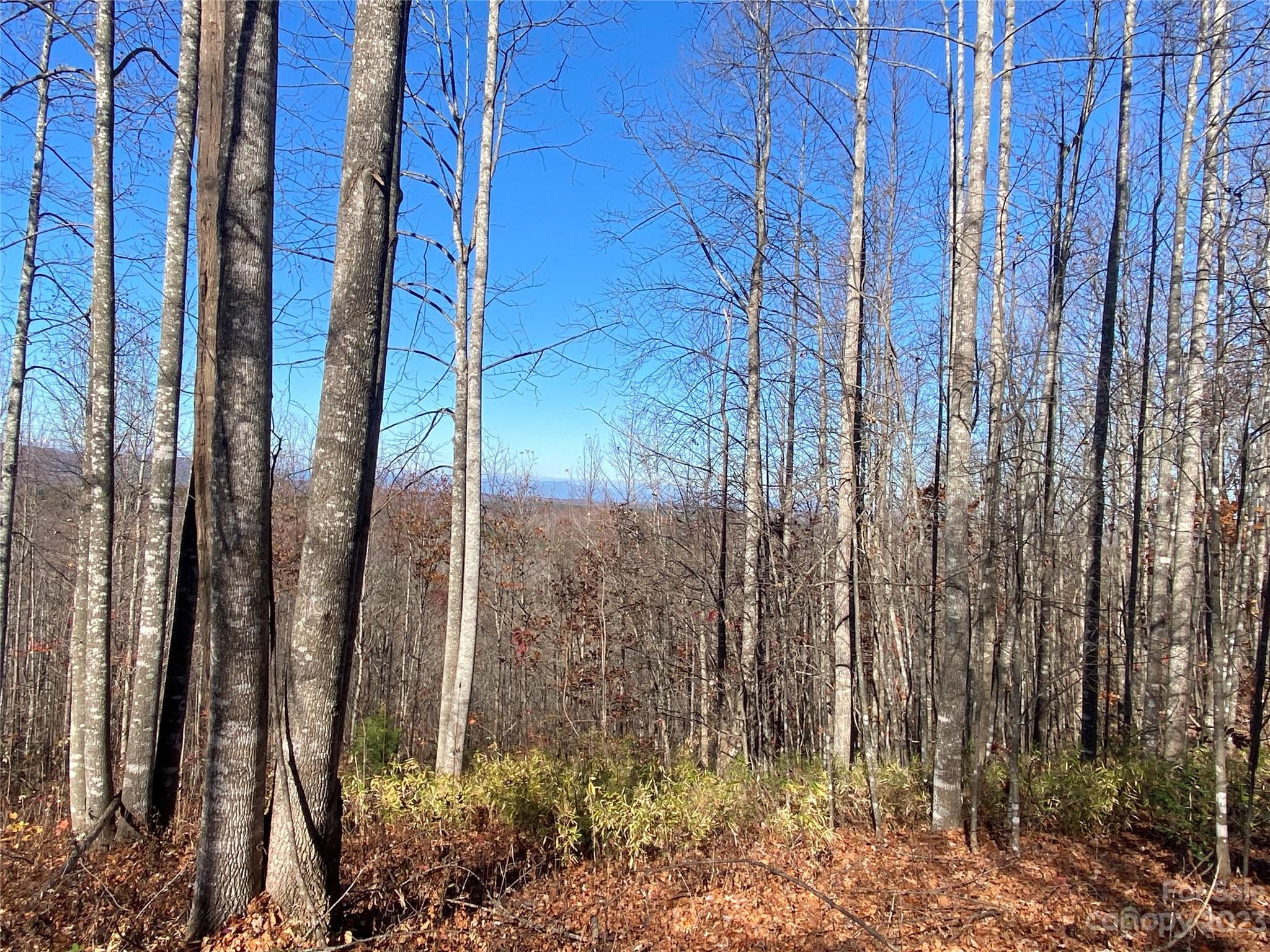 Tbd Meditation Ridge Drive Nebo NC 28761