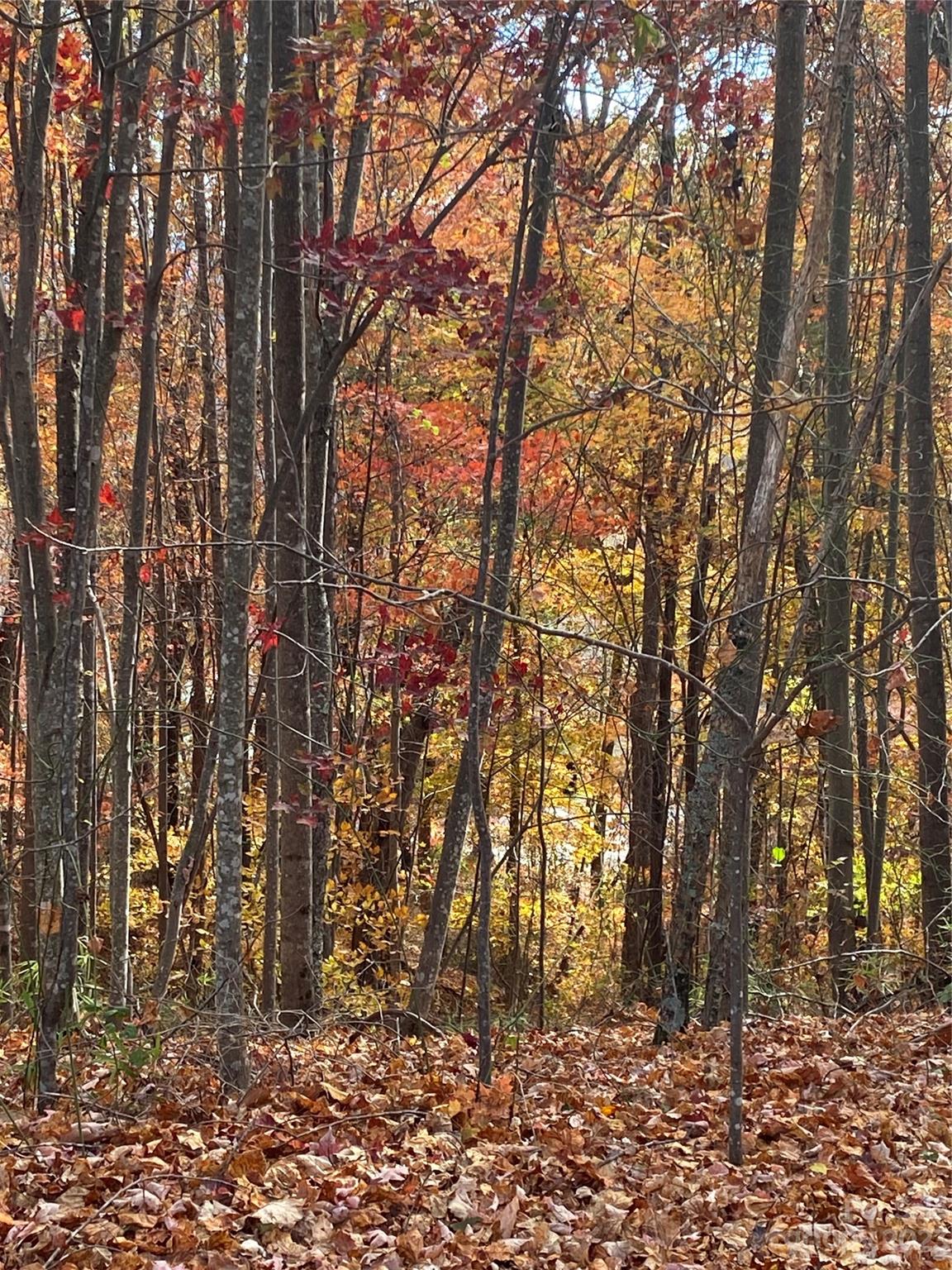 Tbd Meditation Ridge Drive Nebo NC 28761
