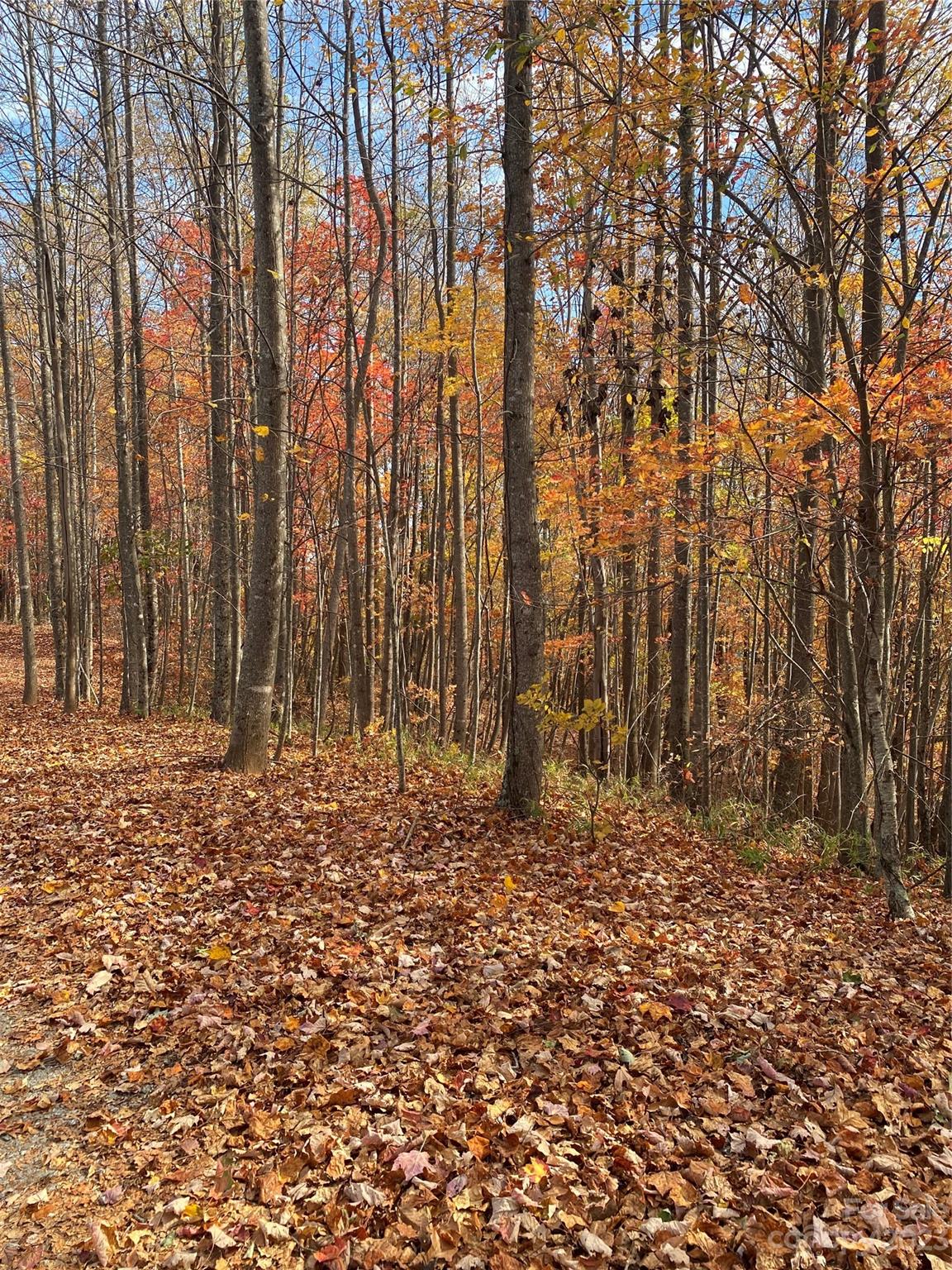 Tbd Meditation Ridge Drive Nebo NC 28761
