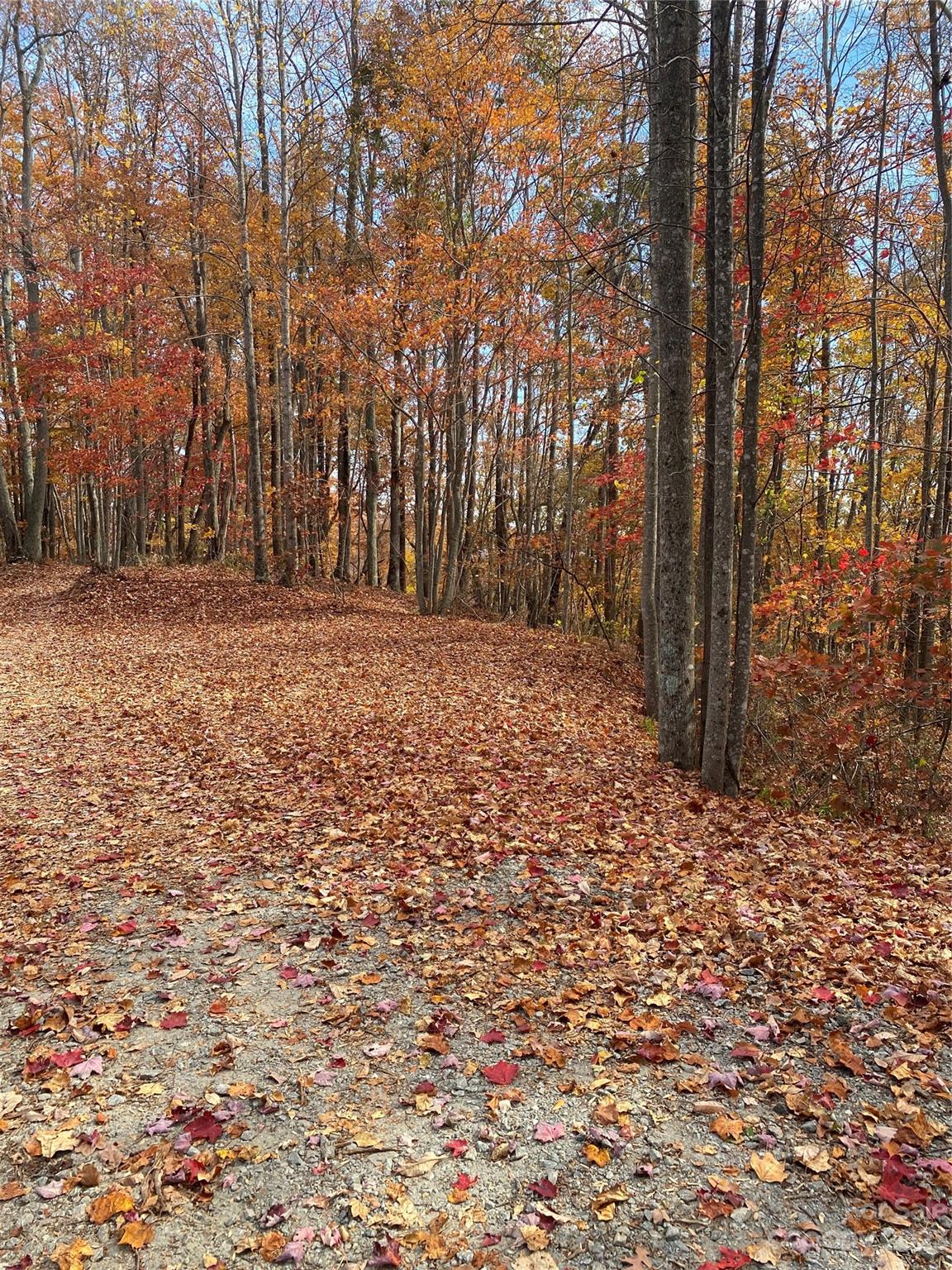 Tbd Meditation Ridge Drive Nebo NC 28761