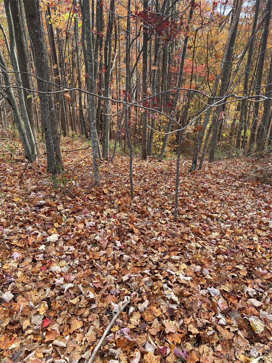 Tbd Meditation Ridge Drive Nebo NC 28761