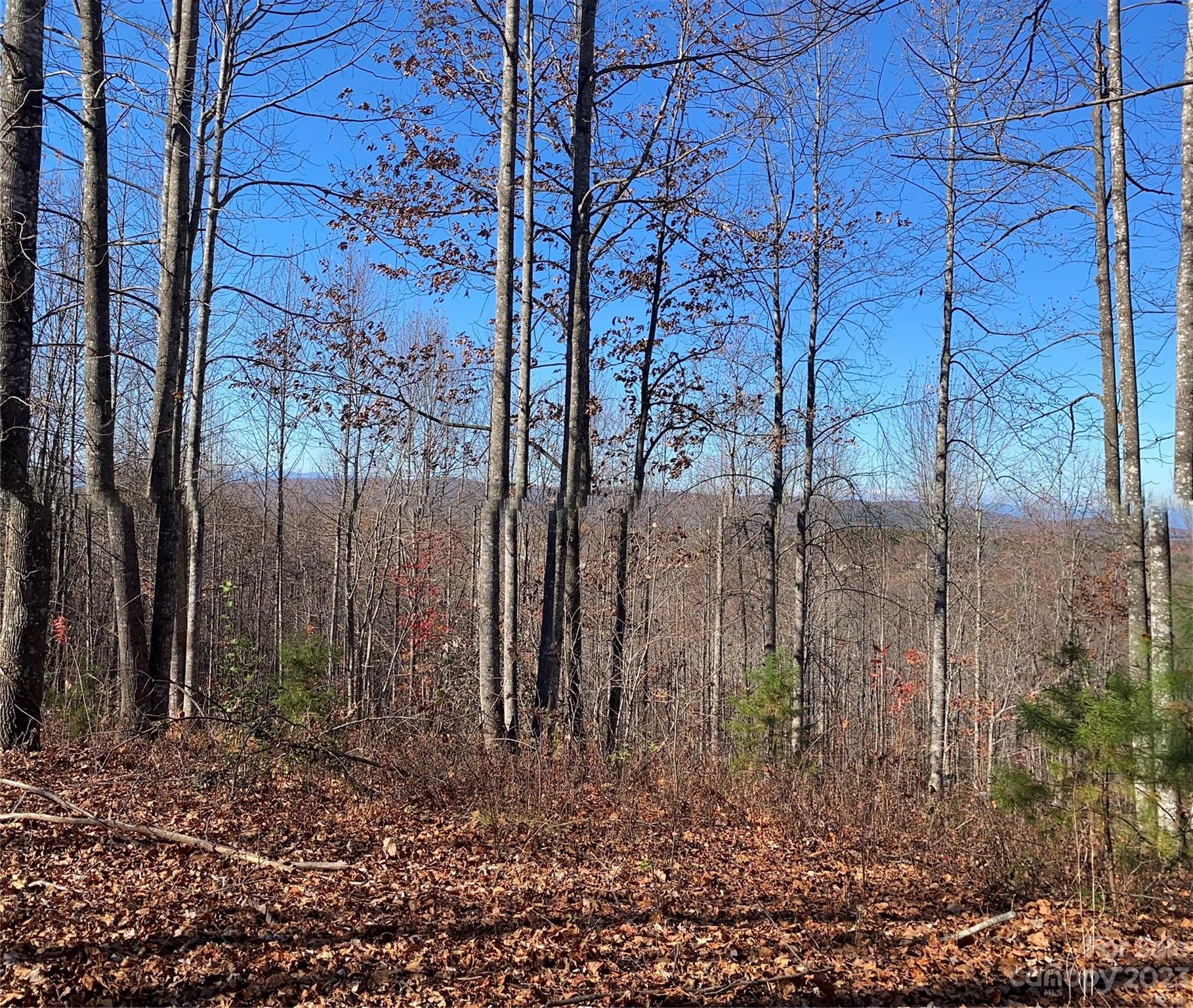 Tbd Meditation Ridge Drive Nebo NC 28761