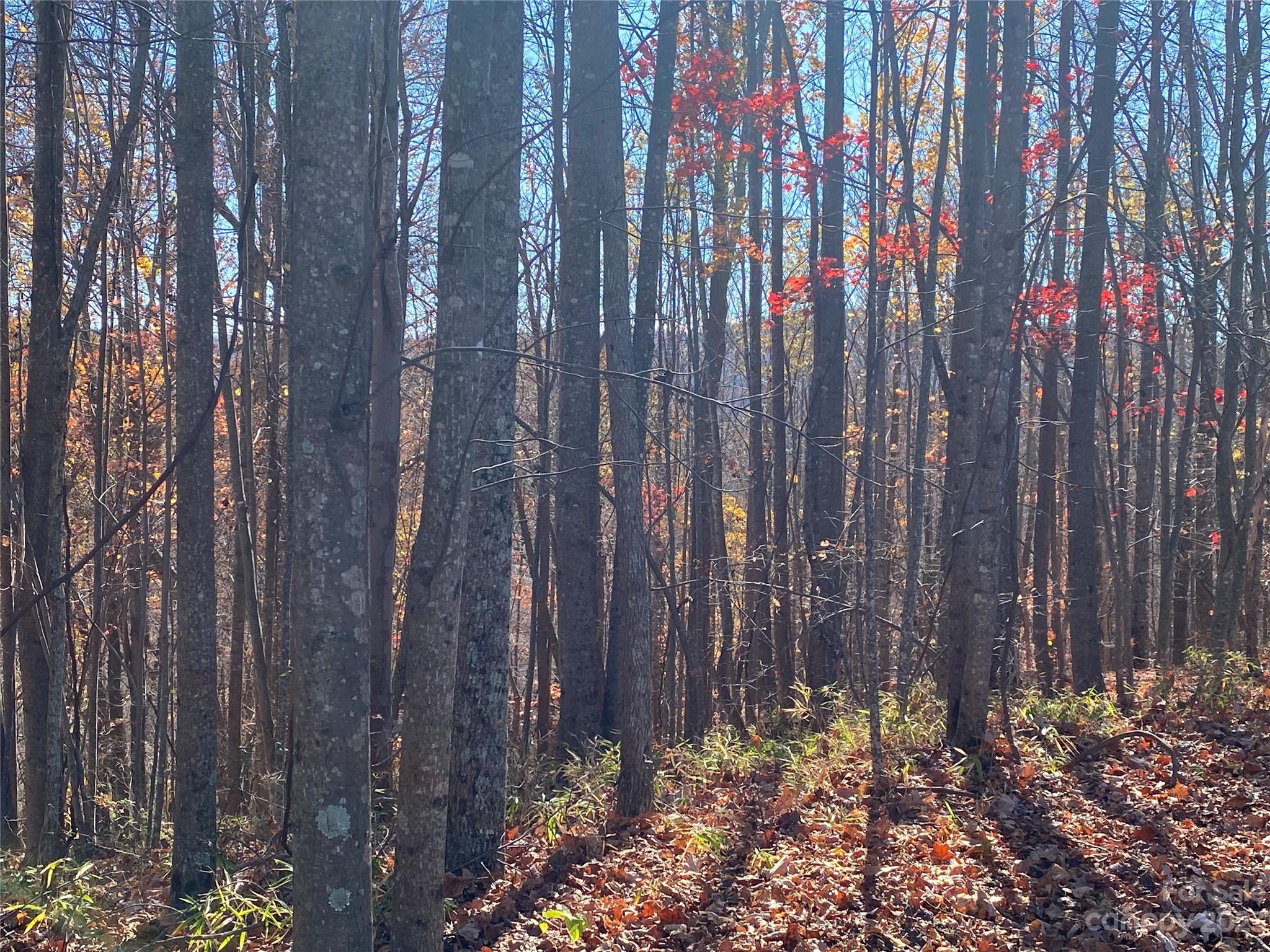 Tbd Meditation Ridge Drive Nebo NC 28761