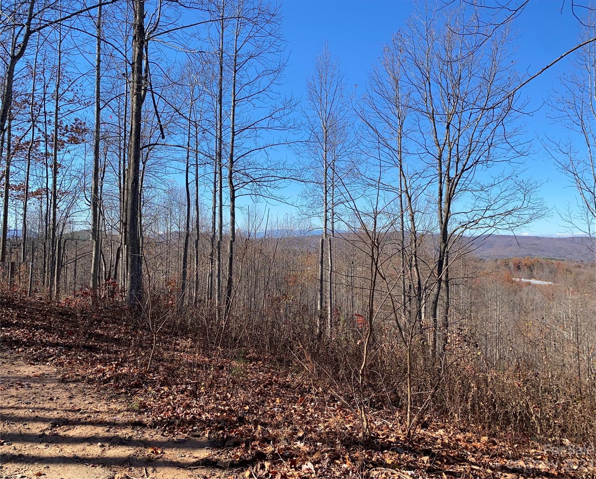 Tbd Meditation Ridge Drive Nebo NC 28761