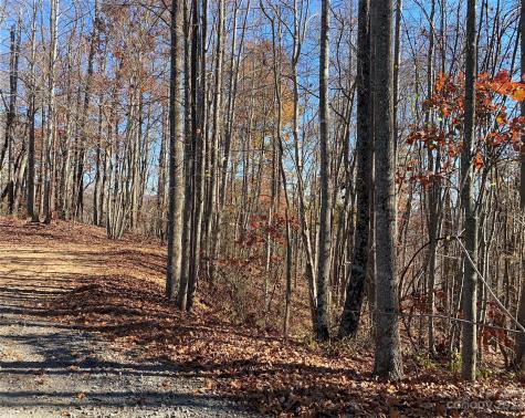 Tbd Meditation Ridge Drive Nebo NC 28761