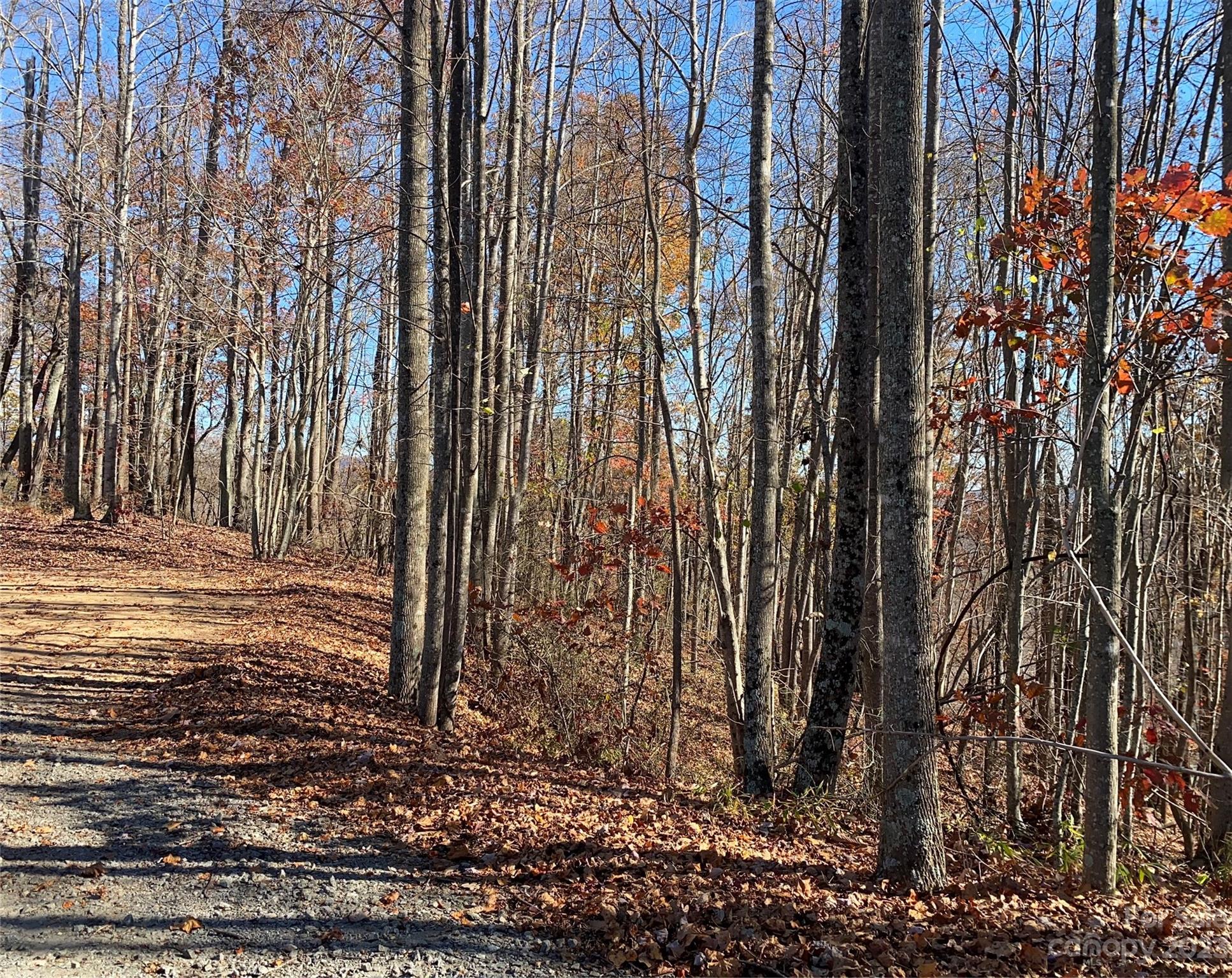 Tbd Meditation Ridge Drive Nebo NC 28761