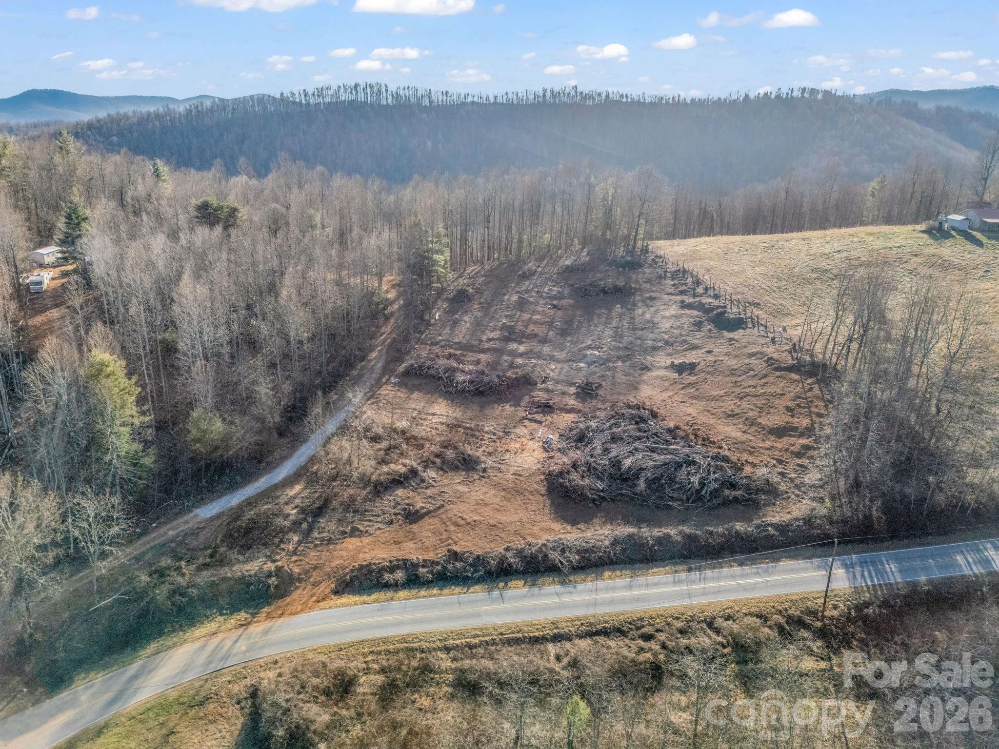 9999 Pinnacle Mountain Road Zirconia NC 28790