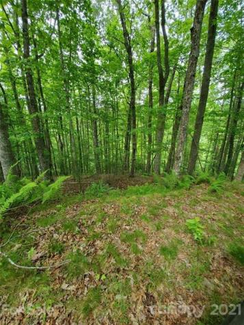 141 River Club Trail Marshall NC 28753