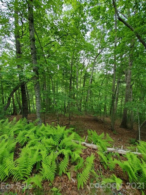 141 River Club Trail Marshall NC 28753