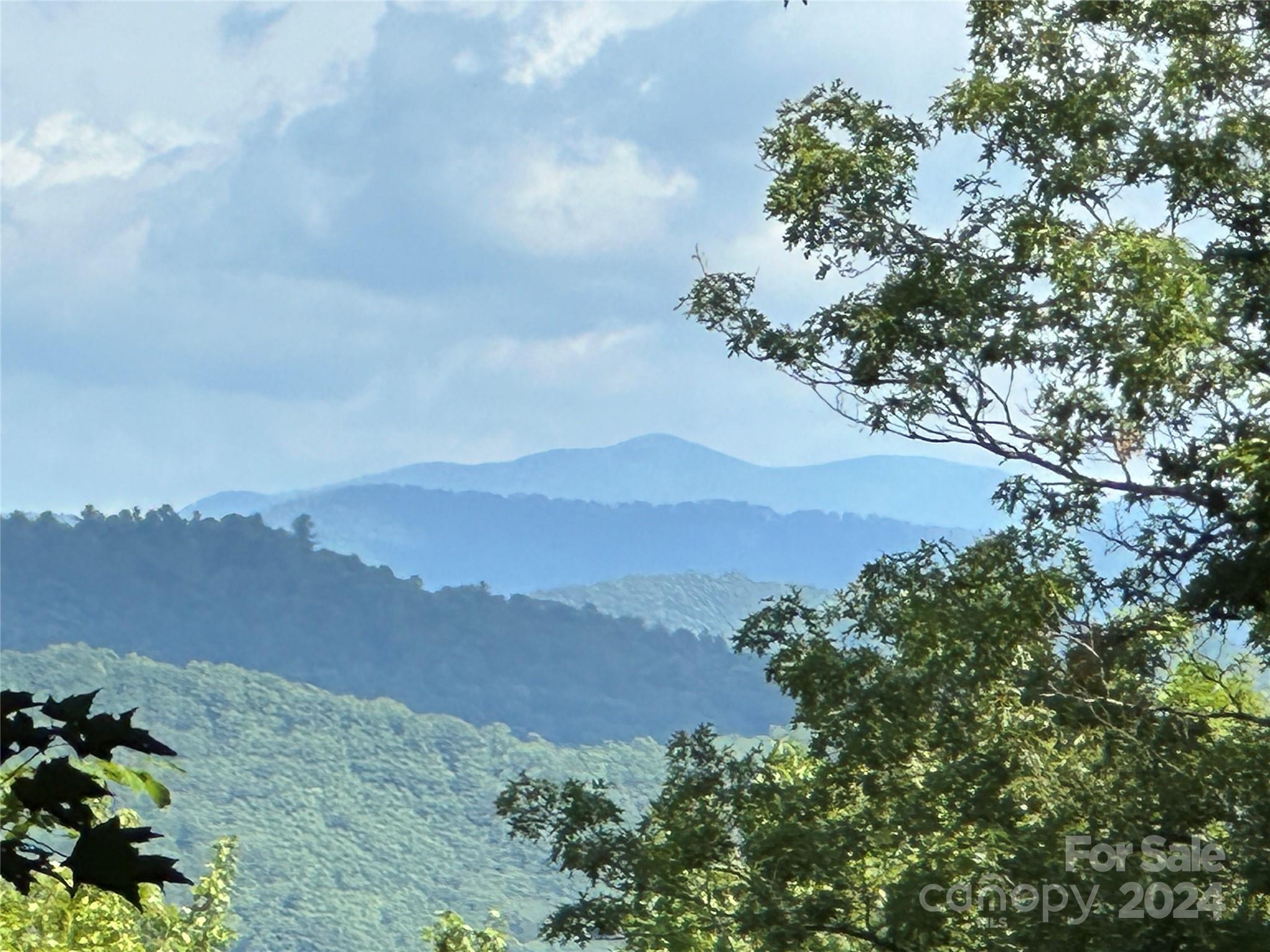 79 Peppervine Circle Rosman NC 28772