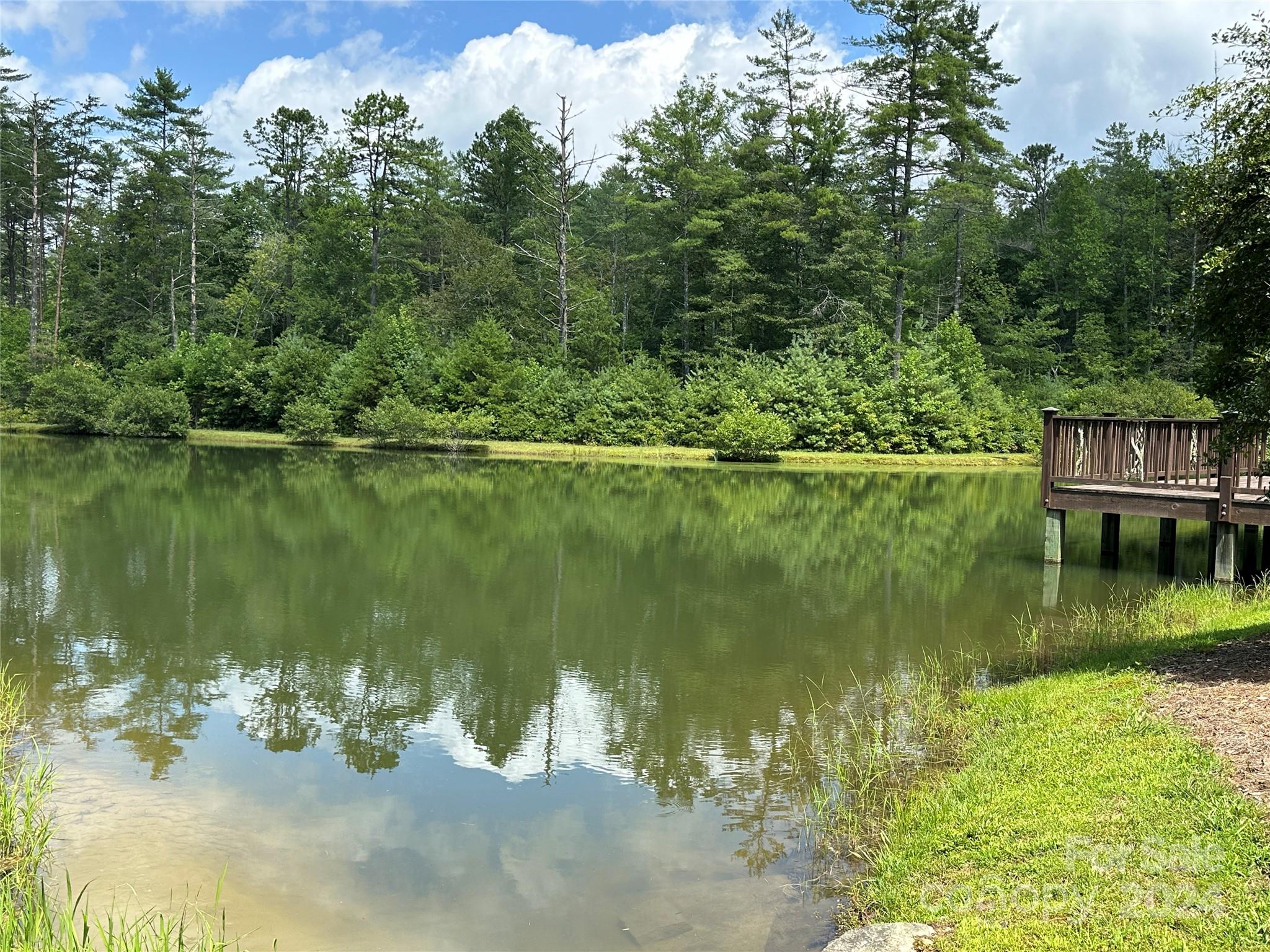 79 Peppervine Circle Rosman NC 28772