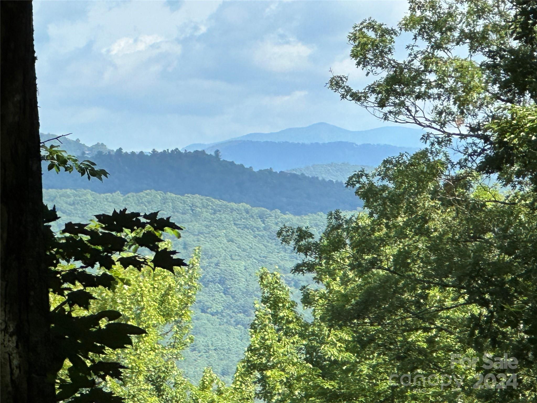 79 Peppervine Circle Rosman NC 28772