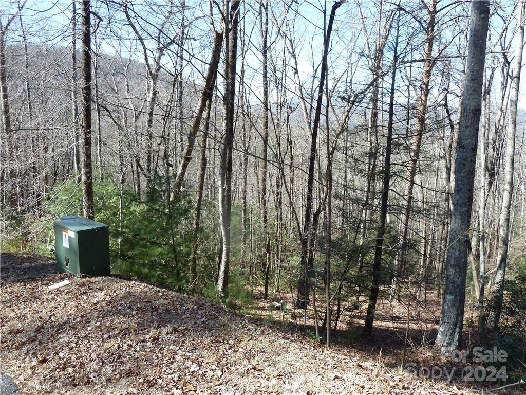 79 Peppervine Circle Rosman NC 28772