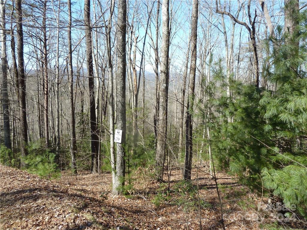 79 Peppervine Circle Rosman NC 28772