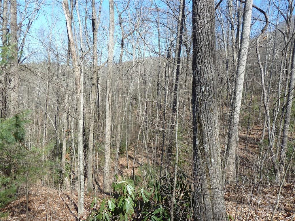 79 Peppervine Circle Rosman NC 28772