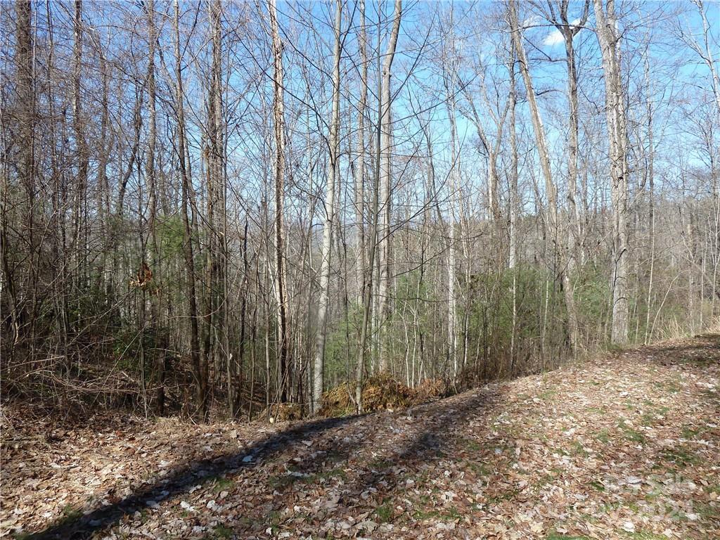 79 Peppervine Circle Rosman NC 28772