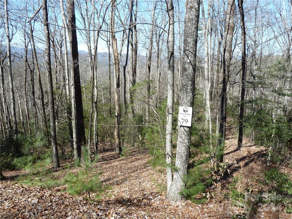 79 Peppervine Circle Rosman NC 28772
