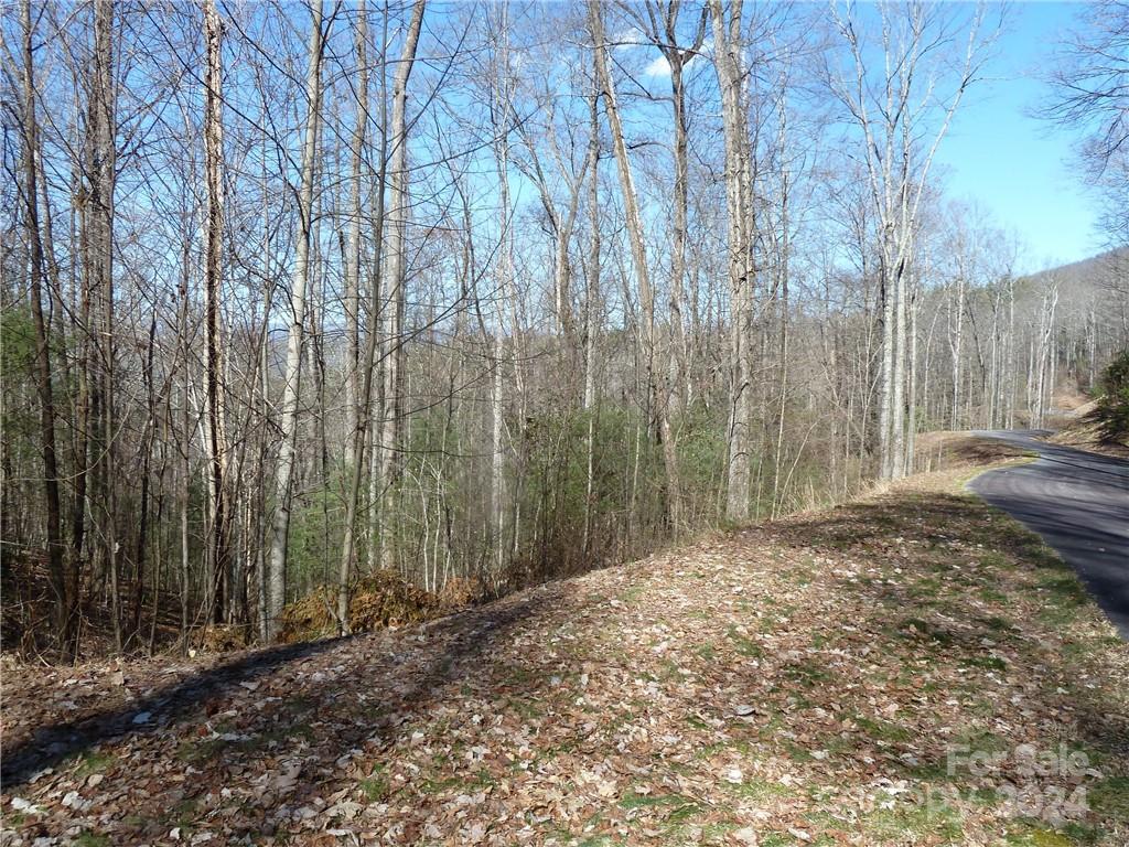 79 Peppervine Circle Rosman NC 28772