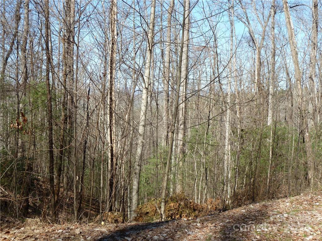 79 Peppervine Circle Rosman NC 28772