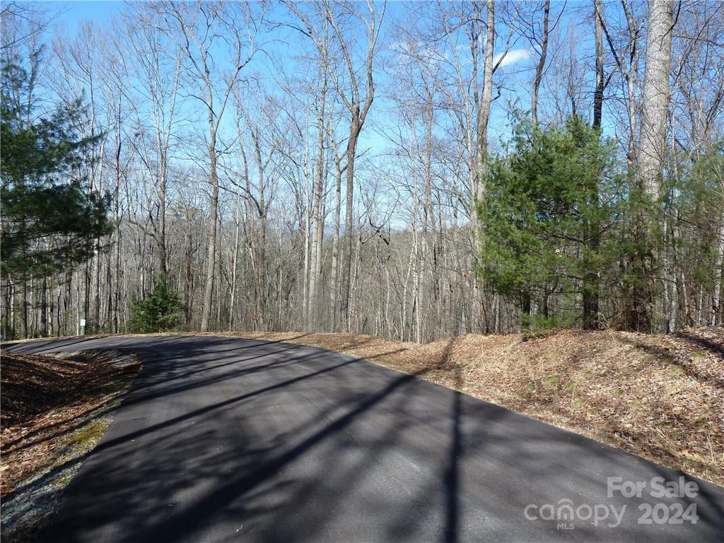 79 Peppervine Circle Rosman NC 28772