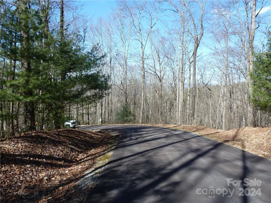 79 Peppervine Circle Rosman NC 28772