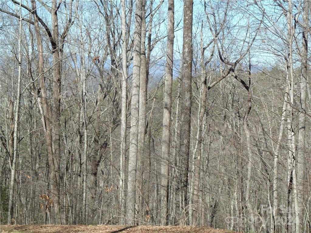 79 Peppervine Circle Rosman NC 28772