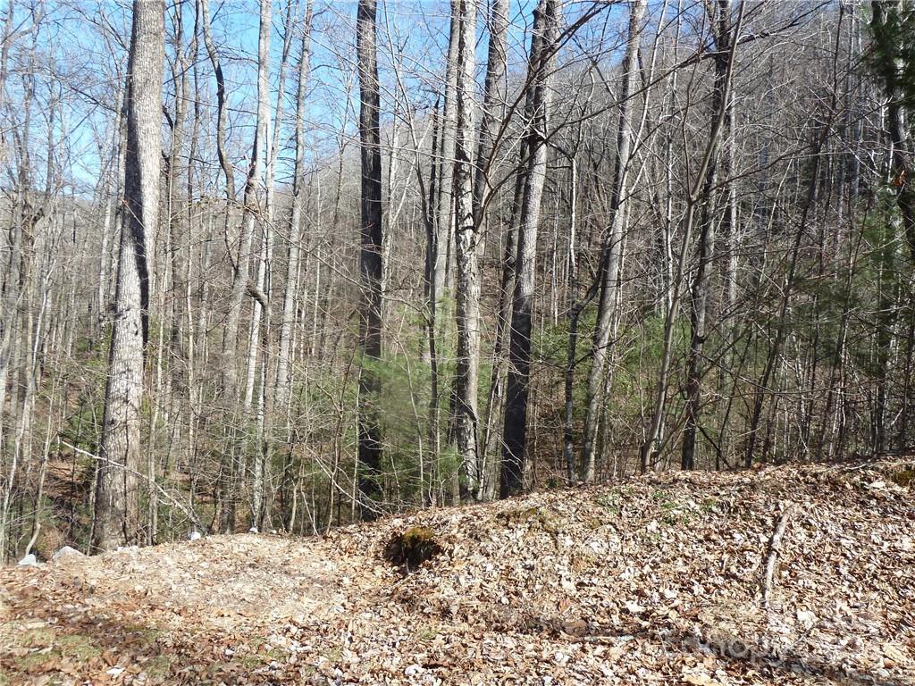 79 Peppervine Circle Rosman NC 28772