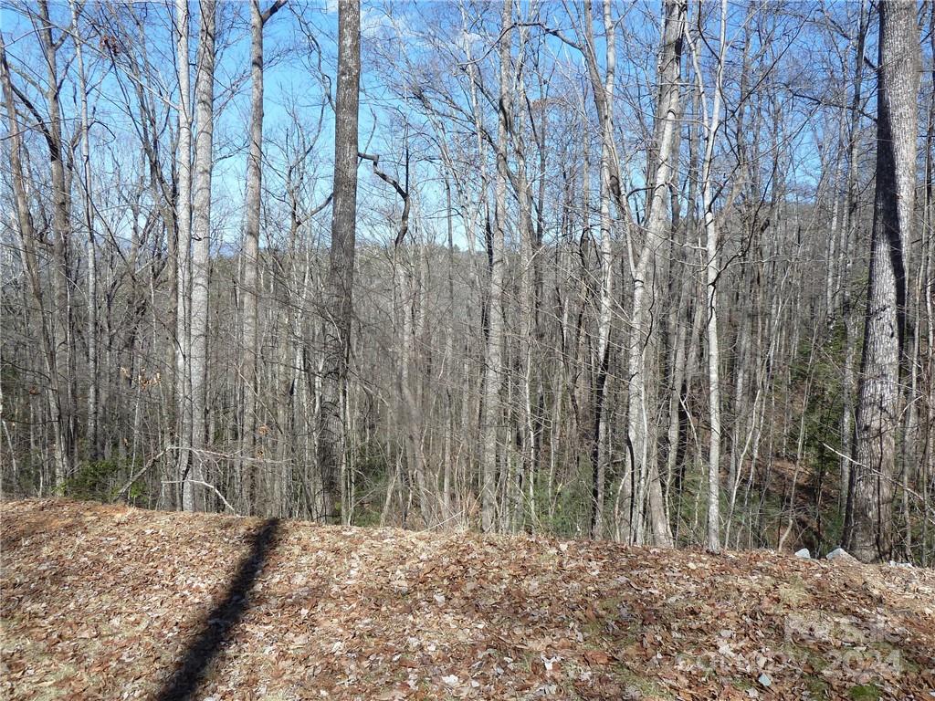 79 Peppervine Circle Rosman NC 28772