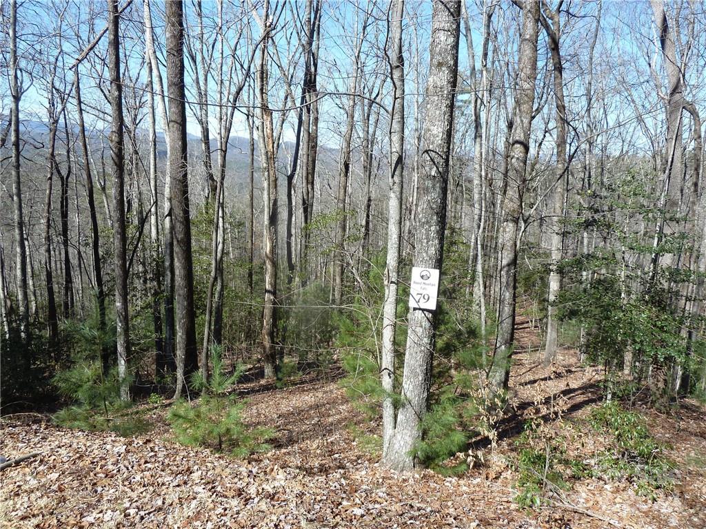 79 Peppervine Circle Rosman NC 28772