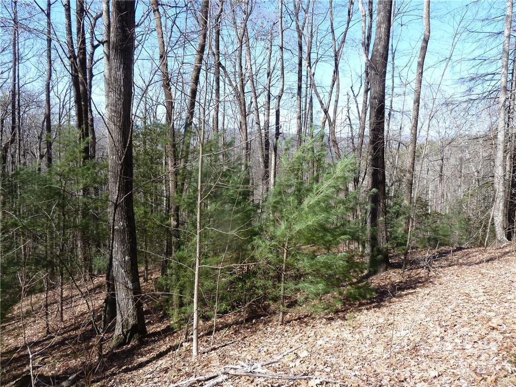 79 Peppervine Circle Rosman NC 28772