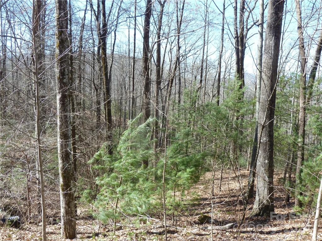 79 Peppervine Circle Rosman NC 28772