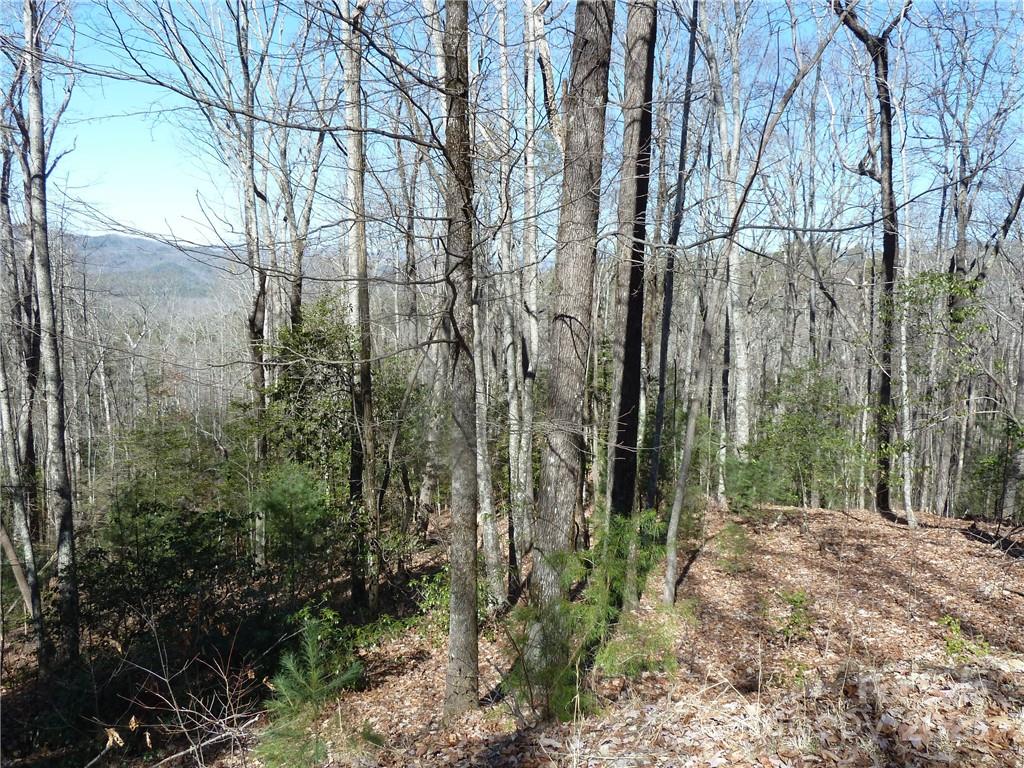 79 Peppervine Circle Rosman NC 28772