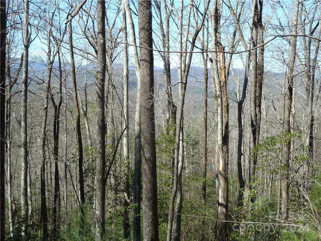 79 Peppervine Circle Rosman NC 28772