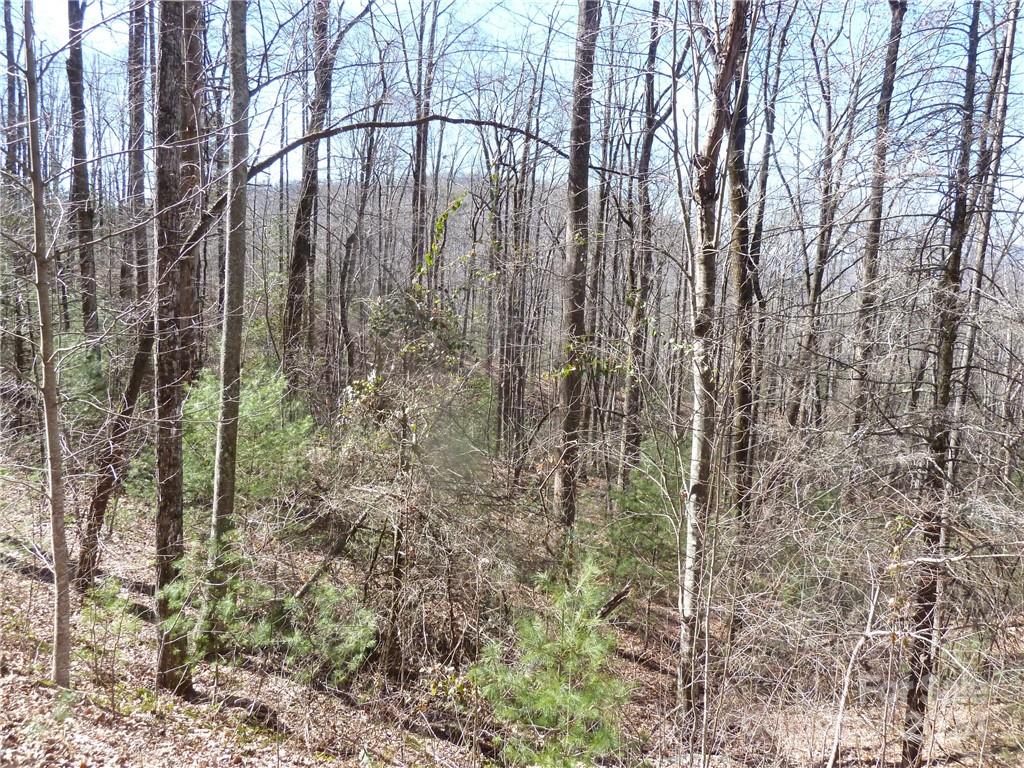 79 Peppervine Circle Rosman NC 28772