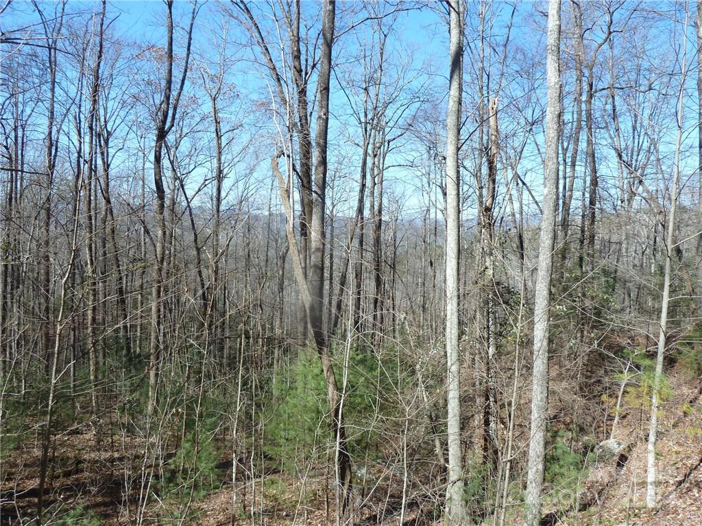 79 Peppervine Circle Rosman NC 28772