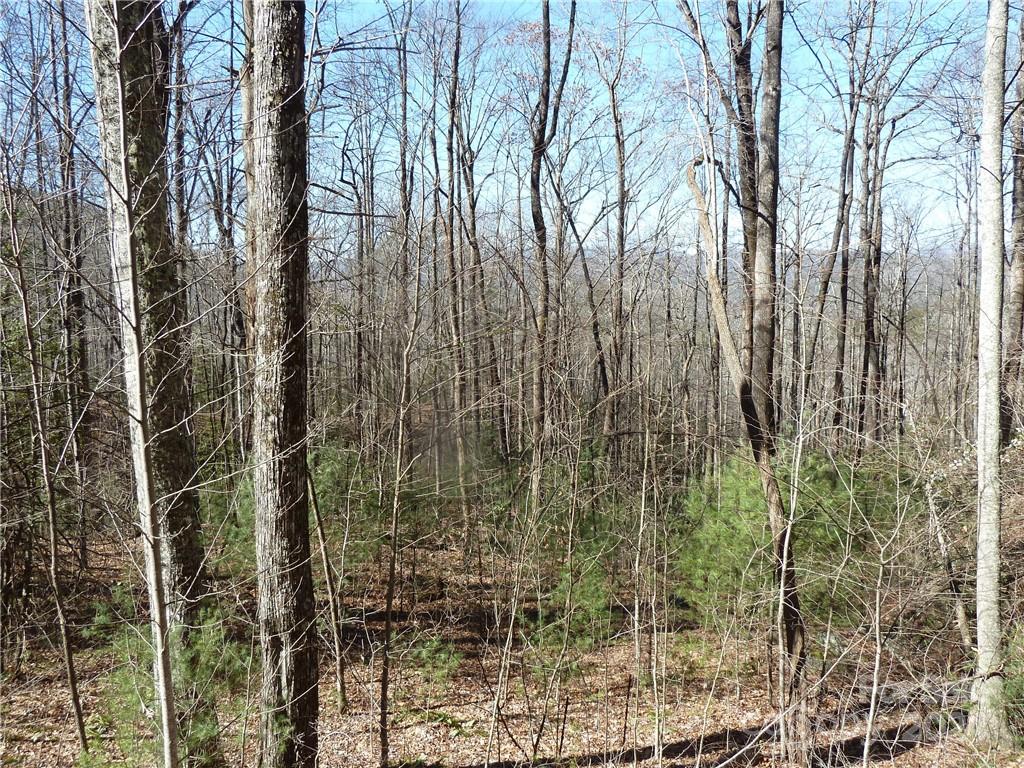 79 Peppervine Circle Rosman NC 28772