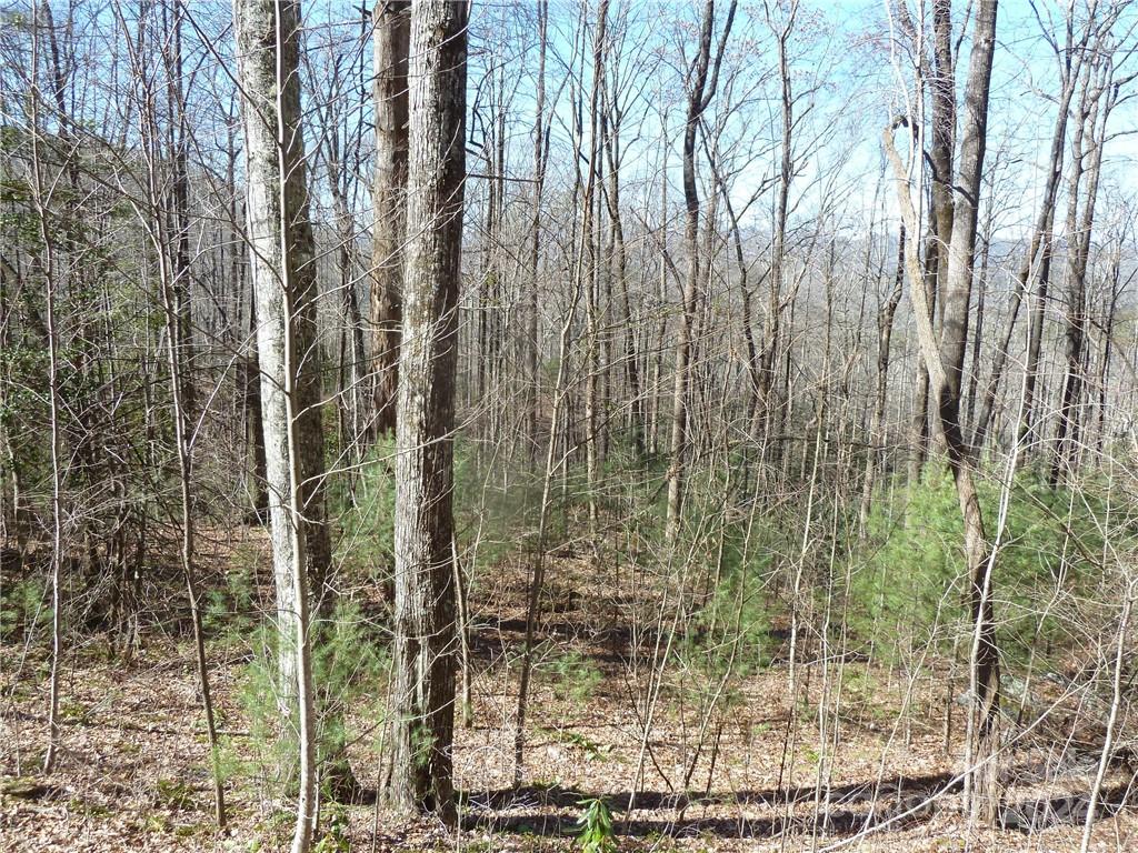 79 Peppervine Circle Rosman NC 28772