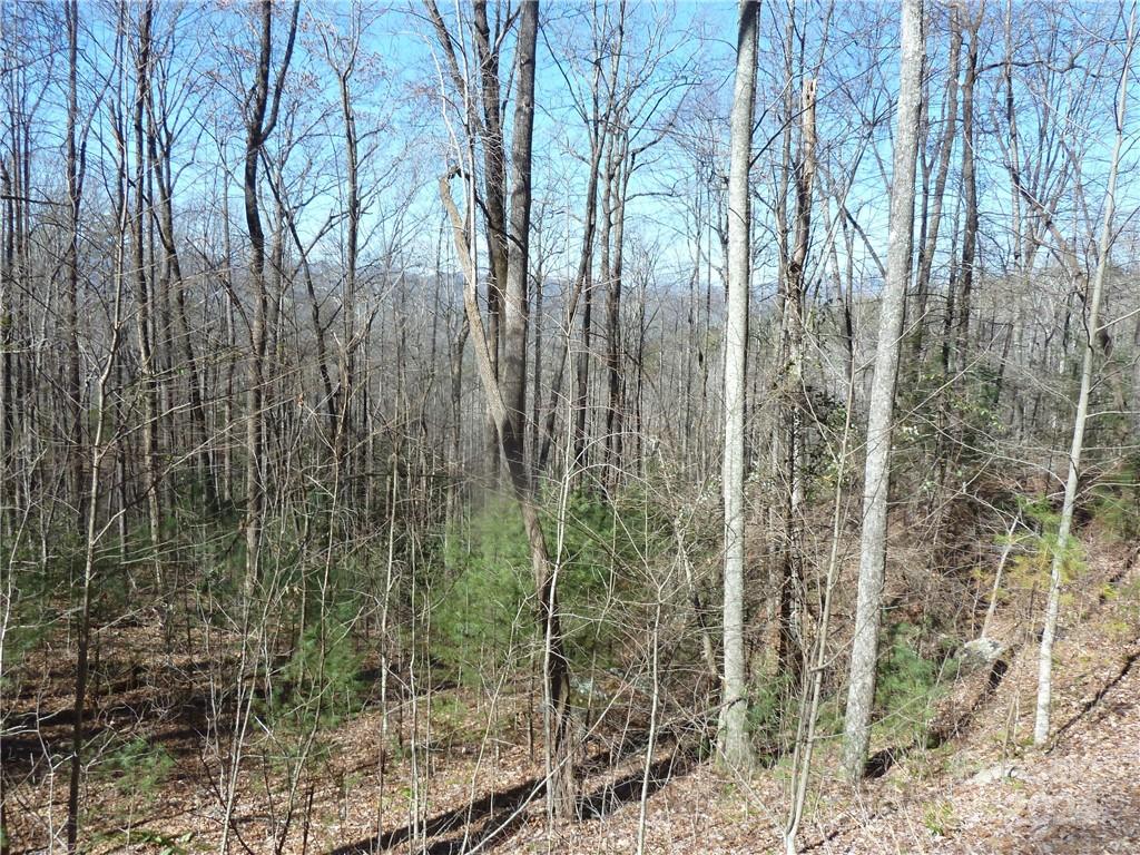 79 Peppervine Circle Rosman NC 28772
