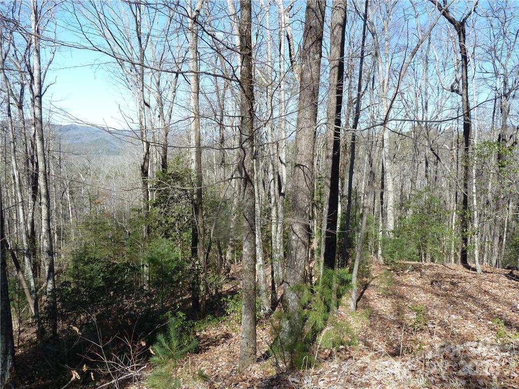 79 Peppervine Circle Rosman NC 28772