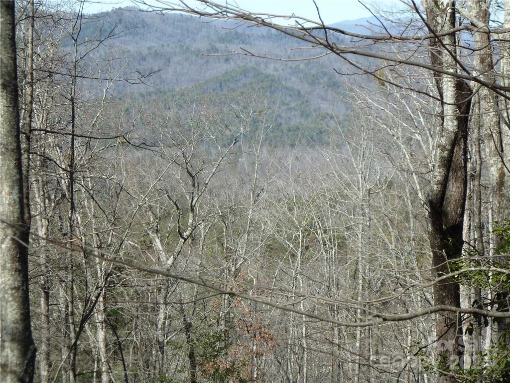 79 Peppervine Circle Rosman NC 28772