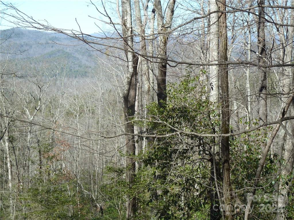 79 Peppervine Circle Rosman NC 28772
