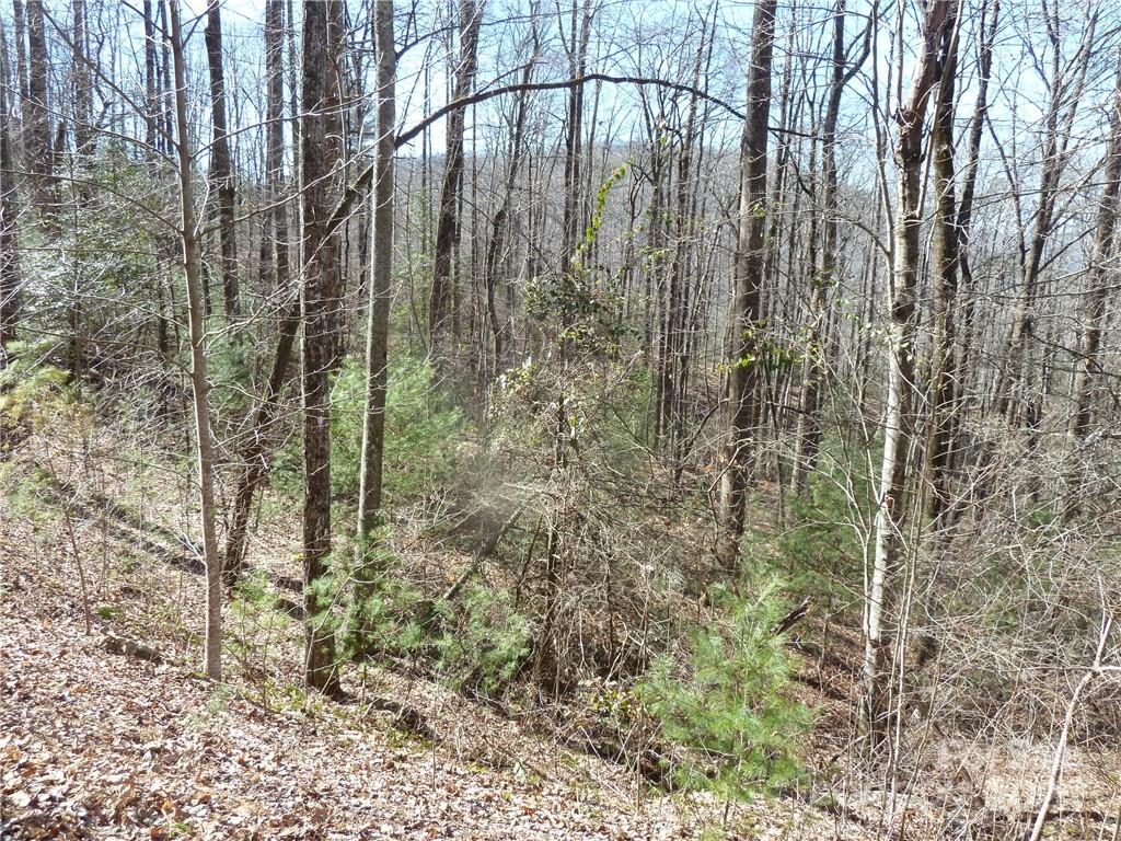 79 Peppervine Circle Rosman NC 28772