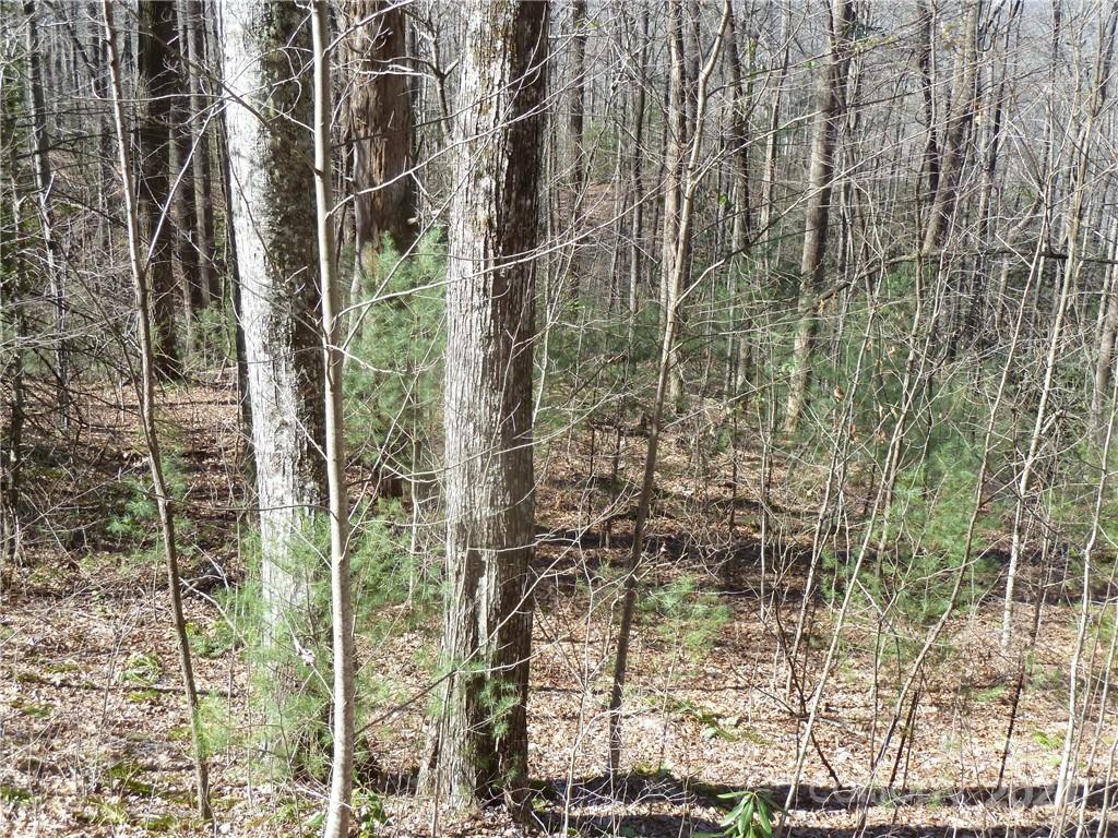 79 Peppervine Circle Rosman NC 28772