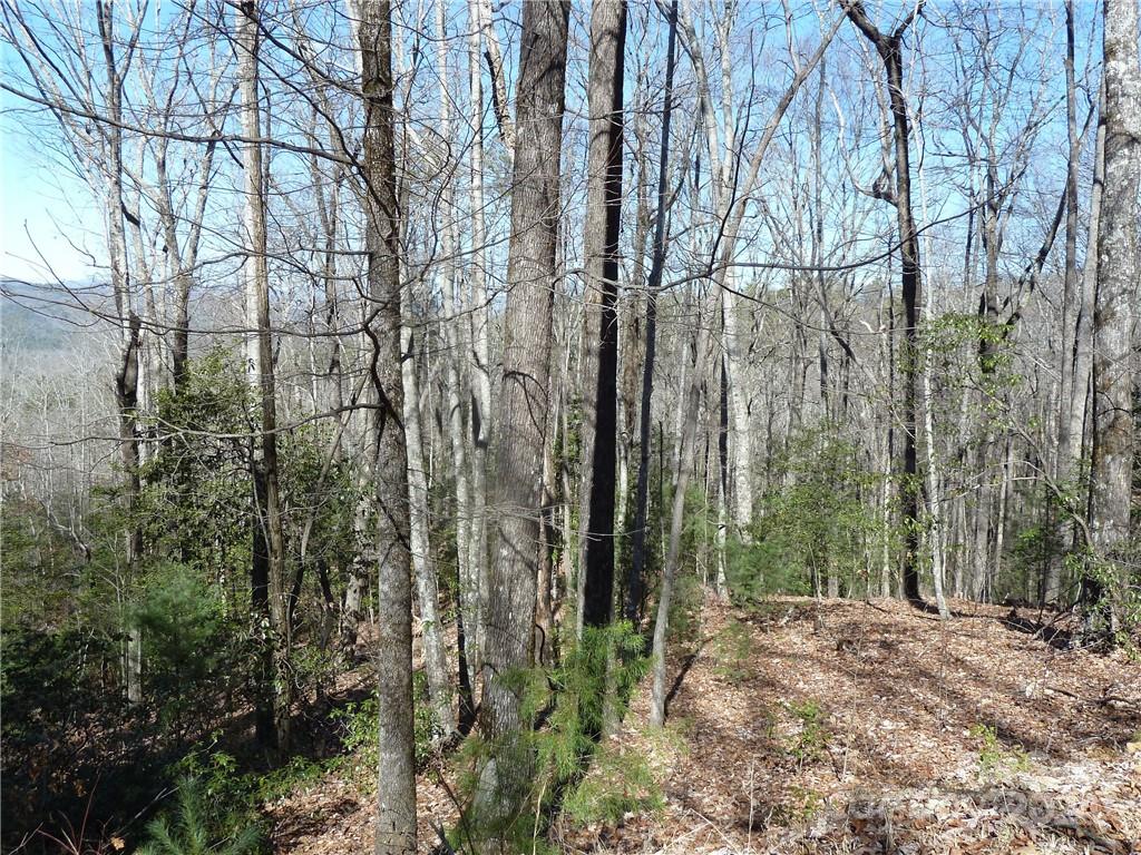 79 Peppervine Circle Rosman NC 28772