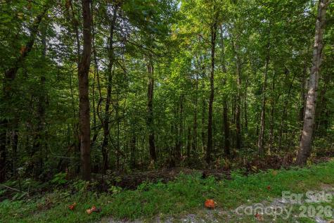 99999 Gateway Parkway Old Fort NC 28762
